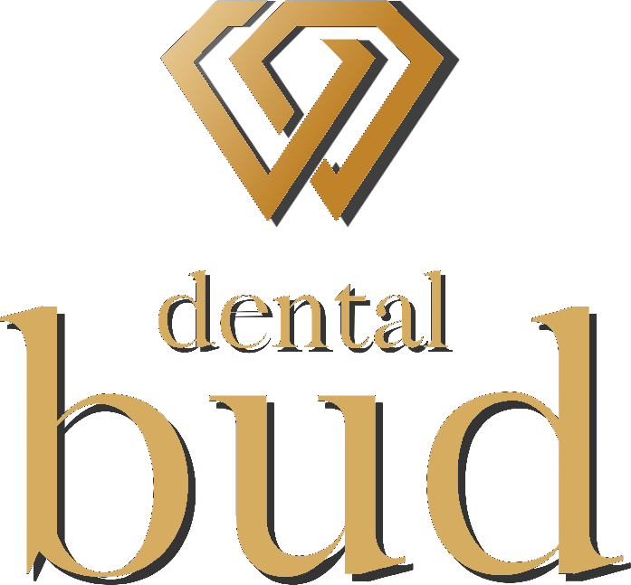 Dental Bud