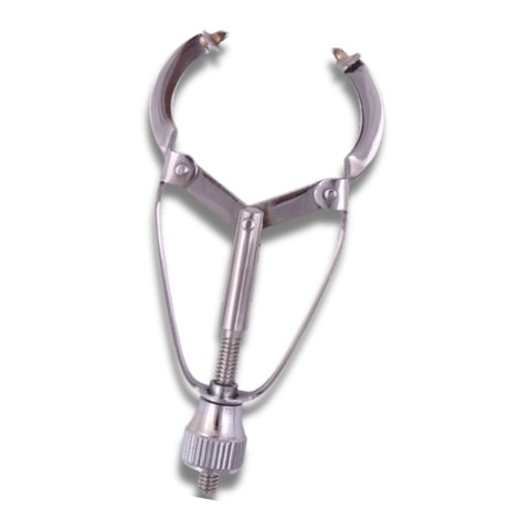 Ivory Matrix Retainer REF 12 – Hahnenkratt